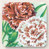 Vintage Seed Packet Art, Pinks Carnation Flowers