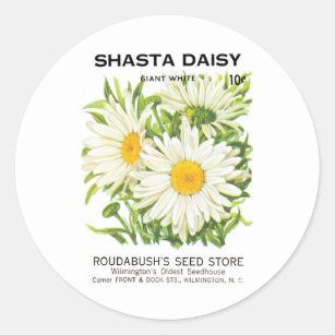 Vintage Seed Packet Art, Shasta Daisy Flowers Classic Round Sticker