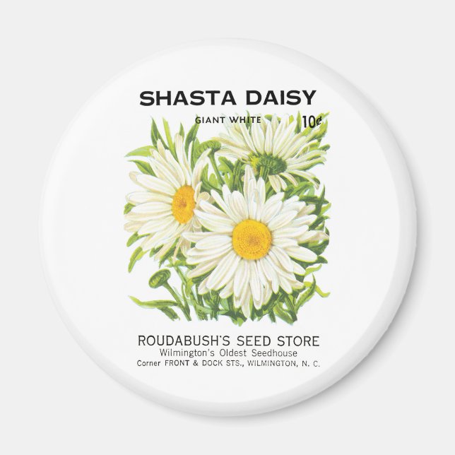 Vintage Seed Packet Art, Shasta Daisy Flowers Magnet (Front)