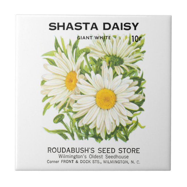Vintage Seed Packet Art, Shasta Daisy Flowers Tile (Front)