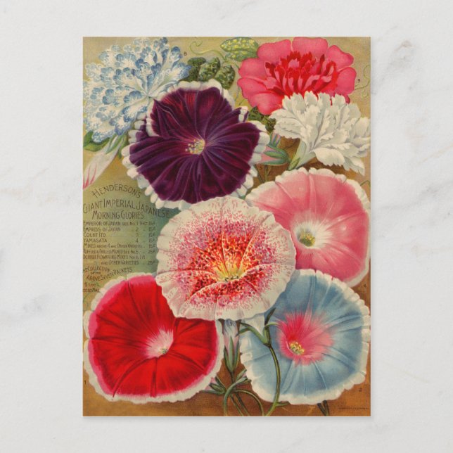 Vintage Seed Packet Cards, Postage and Gifts Postcard (Front)