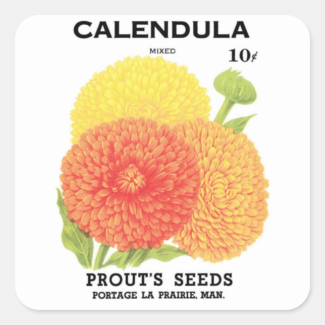 Vintage Seed Packet Label Art, Calendula Flowers (Front)