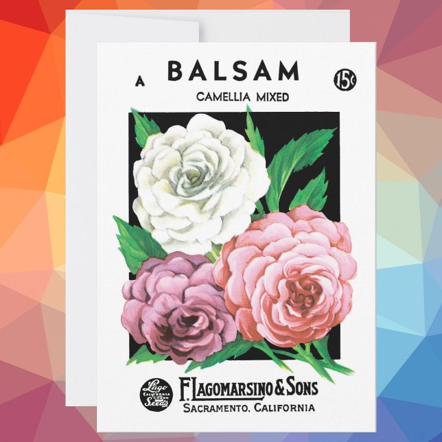 Vintage Seed Packet Label Art, Camellia Flowers (Creator Uploaded)