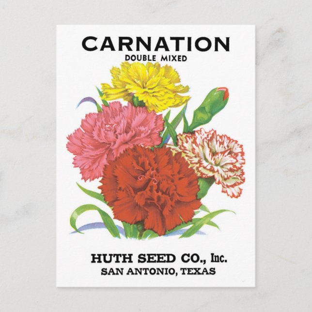 Vintage Seed Packet Label Art, Carnation Flowers Postcard (Front)