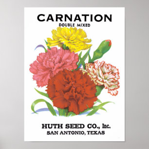 Vintage Seed Packet Label Art, Carnation Flowers Poster