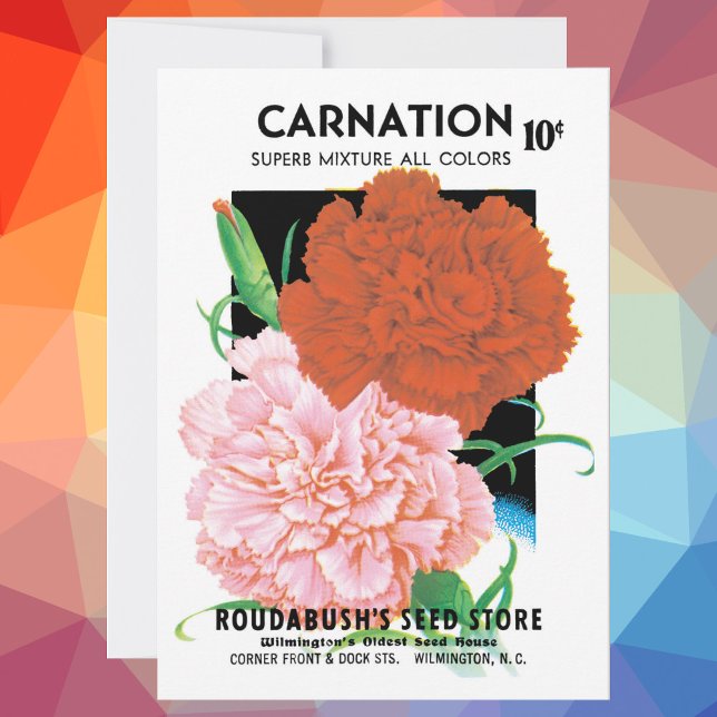 Vintage Seed Packet Label Art, Carnations Flowers (Creator Uploaded)
