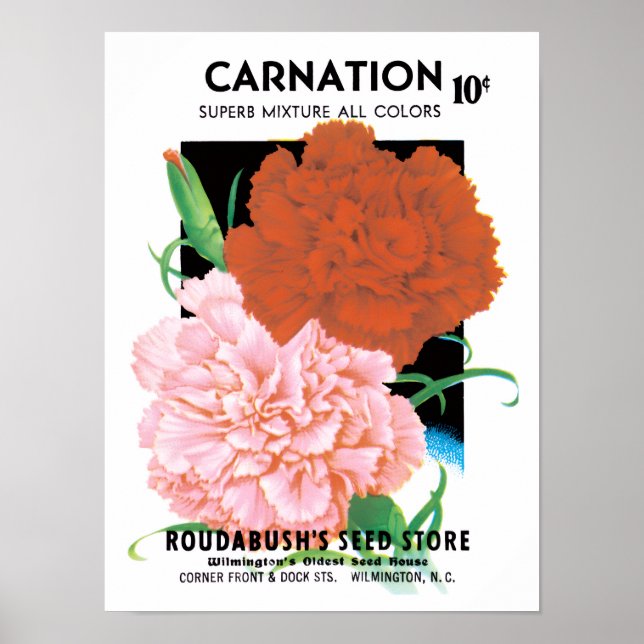 Vintage Seed Packet Label Art, Carnations Flowers Poster (Front)