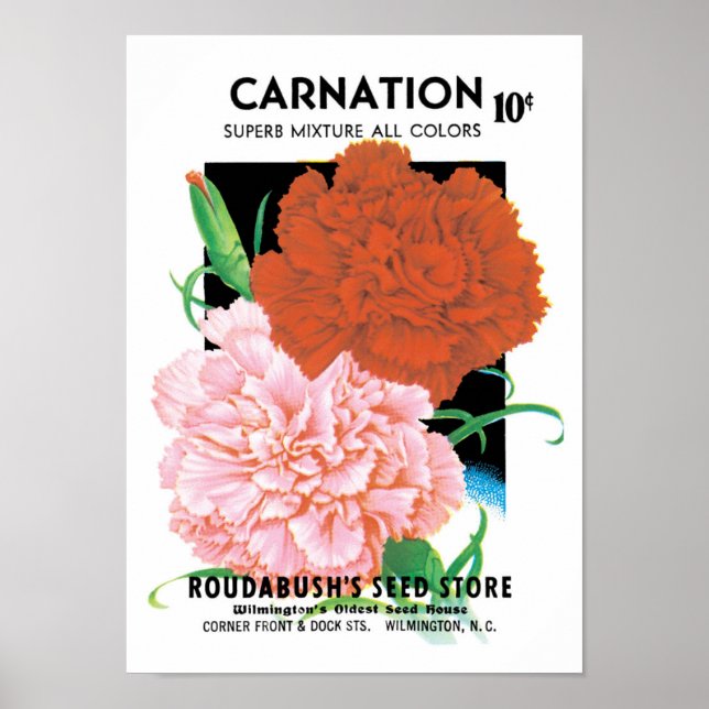 Vintage Seed Packet Label Art, Carnations Flowers Poster (Front)
