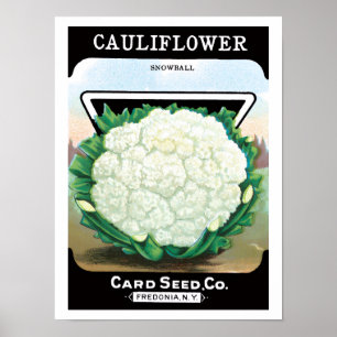 Vintage Seed Packet Label Art, Cauliflower Veggies Poster