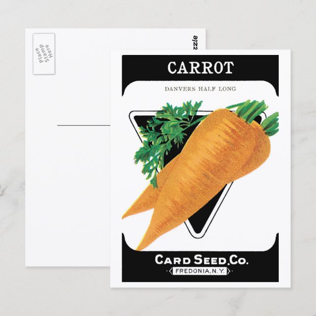 Vintage Seed Packet Label Art, Danvers Carrots Postcard (Front/Back)