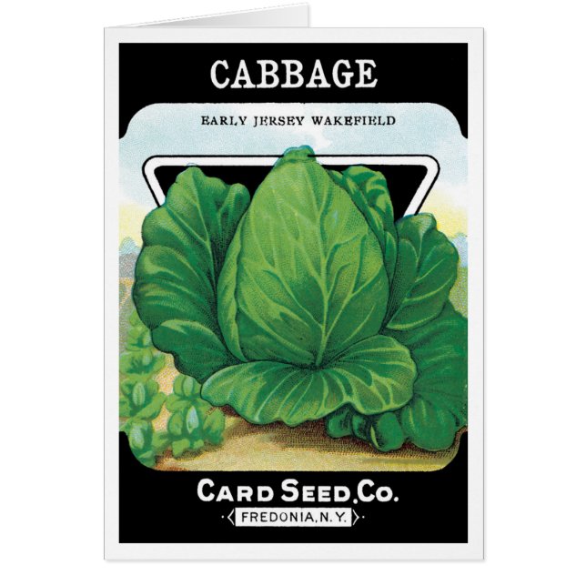 Vintage Seed Packet Label Art, Green Cabbage (Front)