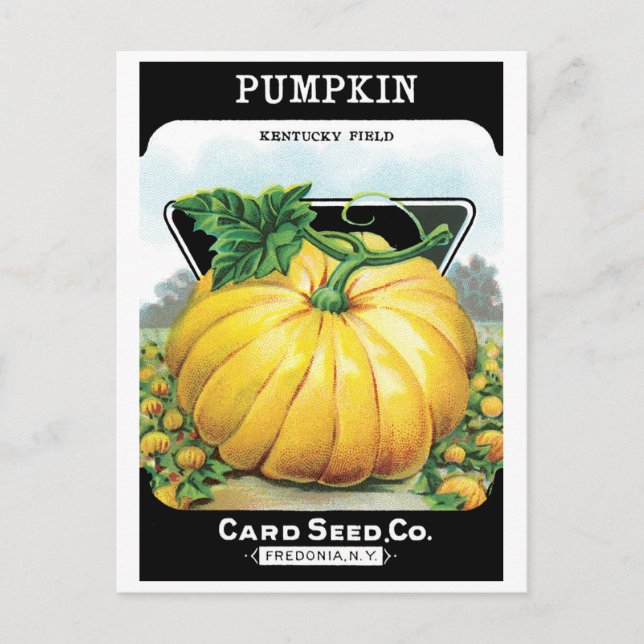 Vintage Seed Packet Label Art, Halloween Pumpkin Postcard (Front)