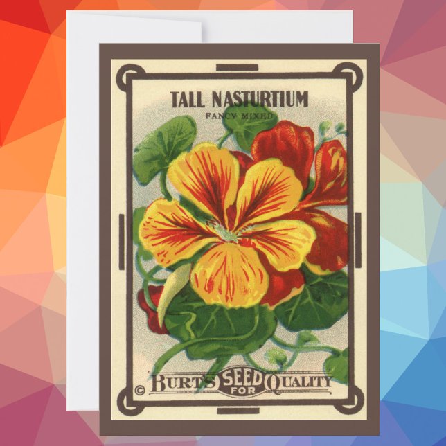 Vintage Seed Packet Label Art, Nasturtium Flowers (Creator Uploaded)