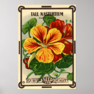 Vintage Seed Packet Label Art, Nasturtiums Poster