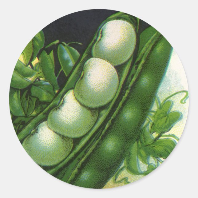 Vintage Seed Packet Label Art, Pole Lima Beans (Front)