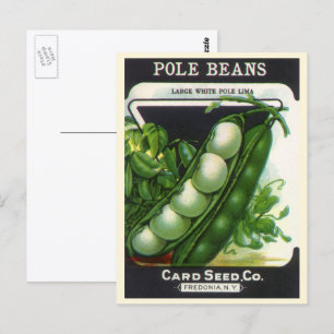 Vintage Seed Packet Label Art, Pole Lima Beans Postcard