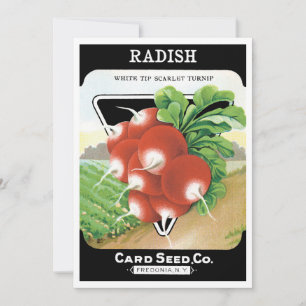 Vintage Seed Packet Label Art, Scarlet Radishes