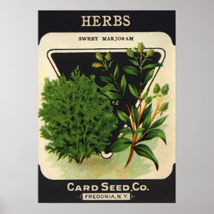 Vintage Seed Packet Label Art Sweet Marjoram Herbs Poster