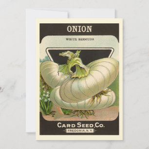 Vintage Seed Packet Label Art White Bermuda Onions