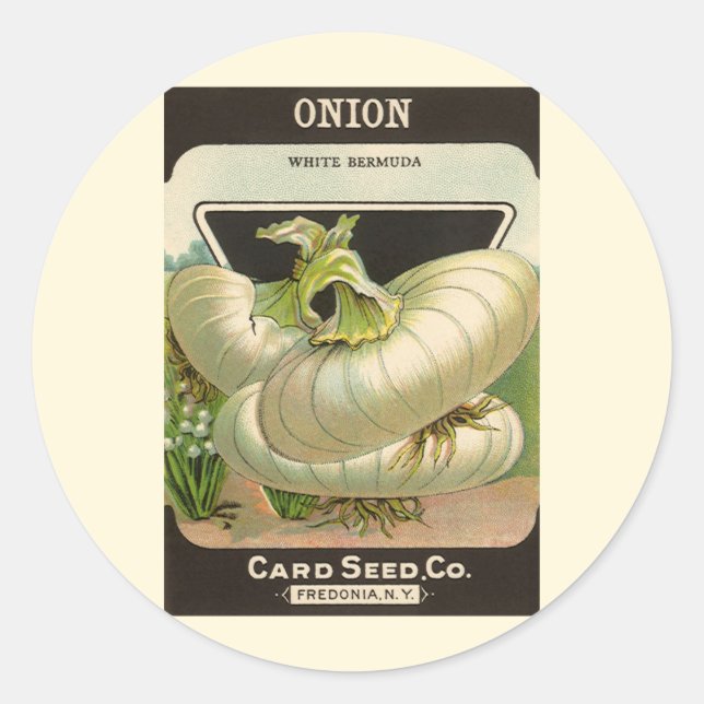 Vintage Seed Packet Label Art White Bermuda Onions (Front)