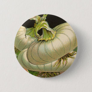 Vintage Seed Packet Label Art White Bermuda Onions 6 Cm Round Badge