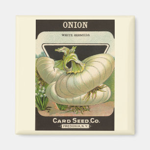 Vintage Seed Packet Label Art White Bermuda Onions Magnet