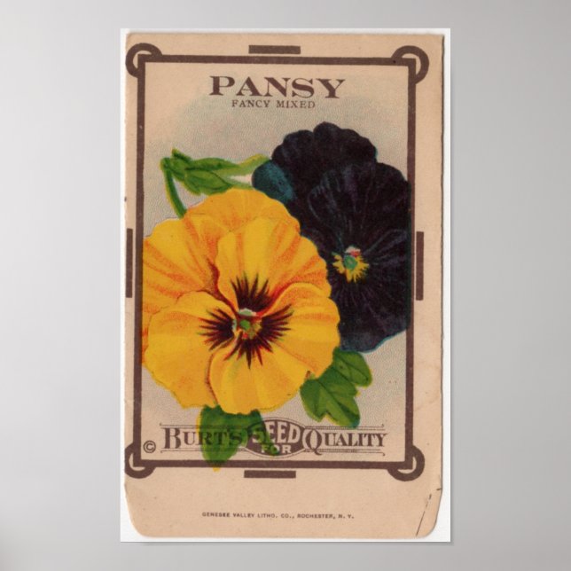 Vintage Seed Packets Poster (Front)