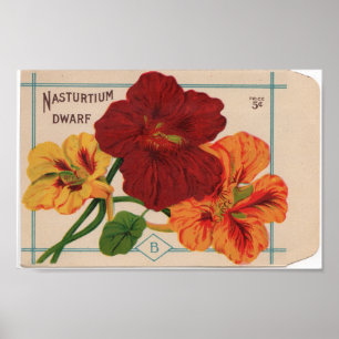 Vintage Seed Packets Poster