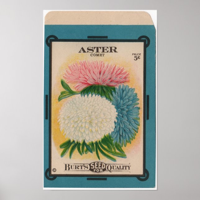 Vintage Seed Packets Poster (Front)