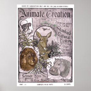 "Vintage-Selmar Hess -1898-Animate Creation" Poster