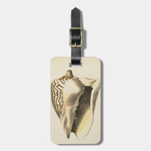 Vintage Sepia Conch Shell Luggage Tag