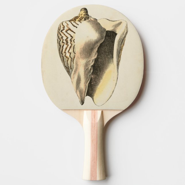 Vintage Sepia Conch Shell Ping Pong Paddle (Front)