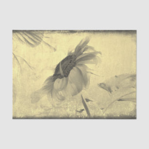 Vintage Sepia Tone Sunflower Grunge Texture Tissue Paper
