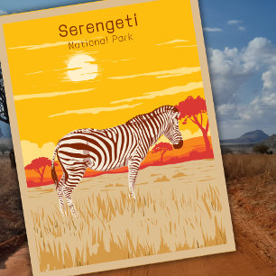 Vintage Serengeti Safari Africa Zebra Travel Art Postcard