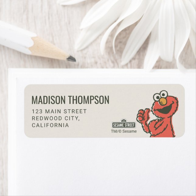 Vintage Sesame Street Characters Birthday (Insitu)