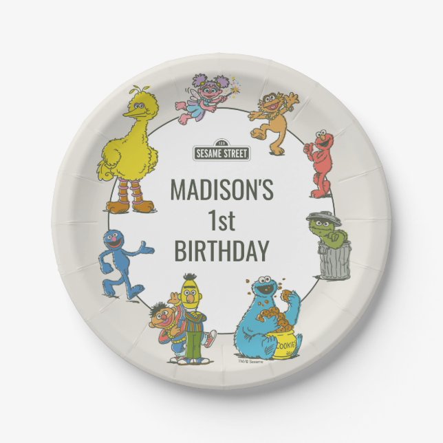 Vintage Sesame Street Characters Birthday Paper Plate (Front)