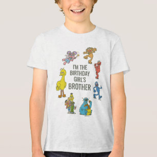 Vintage Sesame Street Characters Birthday Tri-Blend Shirt