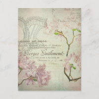 Vintage Shabby Flowers French Script Chic Corset