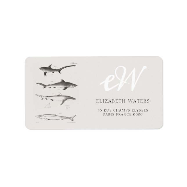 VINTAGE SHARK ILLUSTRATION CHART ADDRESS LABEL (Front)