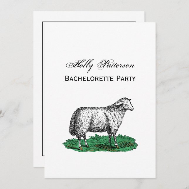 Vintage Sheep Ewe Farm Animals Drawing C Invitation (Front/Back)