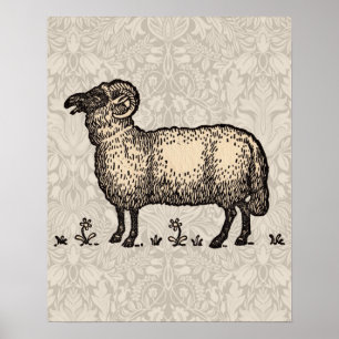 Vintage Sheep Illustration: Farm Classic Art Poster