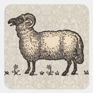 Vintage Sheep Illustration: Farm Classic Art Square Sticker