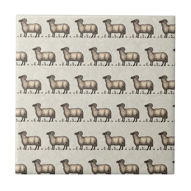 Vintage Sheep Illustration: Farm Classic Art Tile (Front)