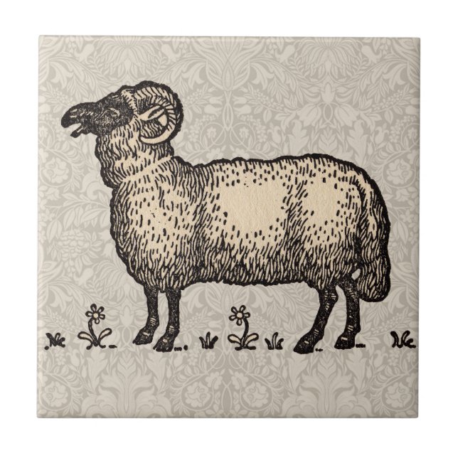 Vintage Sheep Illustration: Farm Classic Art Tile (Front)