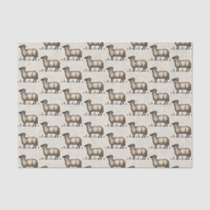 Vintage Sheep Illustration: Farm Classic Art Tissue Paper