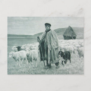 Vintage Shepherd & Sheepdog With Sheep Holiday Postcard