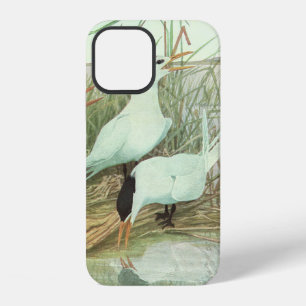 Vintage Shorebirds in a Marsh by Louis Fuertes iPhone 12 Case