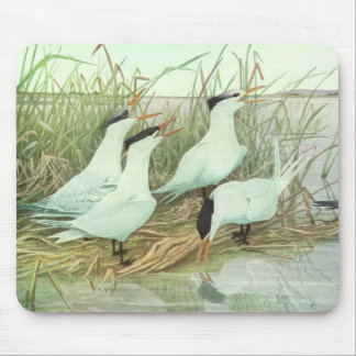 Vintage Shorebirds in a Marsh by Louis Fuertes Mouse Pad