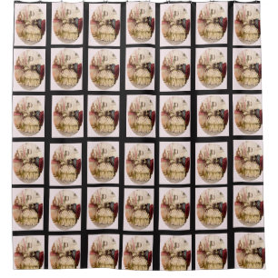 Vintage showercurtain shower curtain