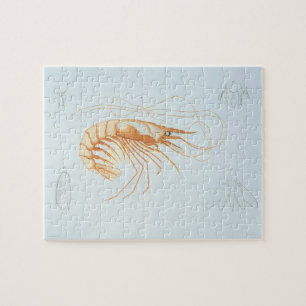 Vintage Shrimp Anatomy, Marine Life Ocean Animals Jigsaw Puzzle